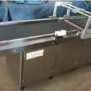 MS/SS Belt Conveyor Suitable for TTO Printer