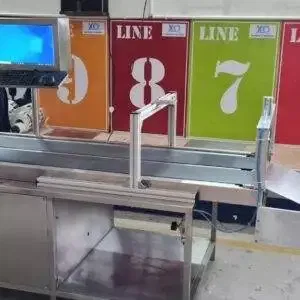 Carton Feeder Machine with Rejection